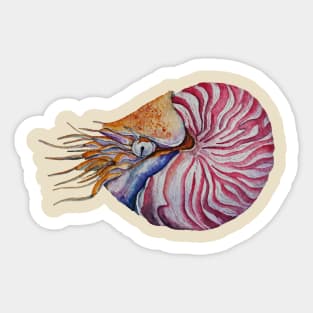 Spiral Serenity | Nautilus in Watercolor Sticker